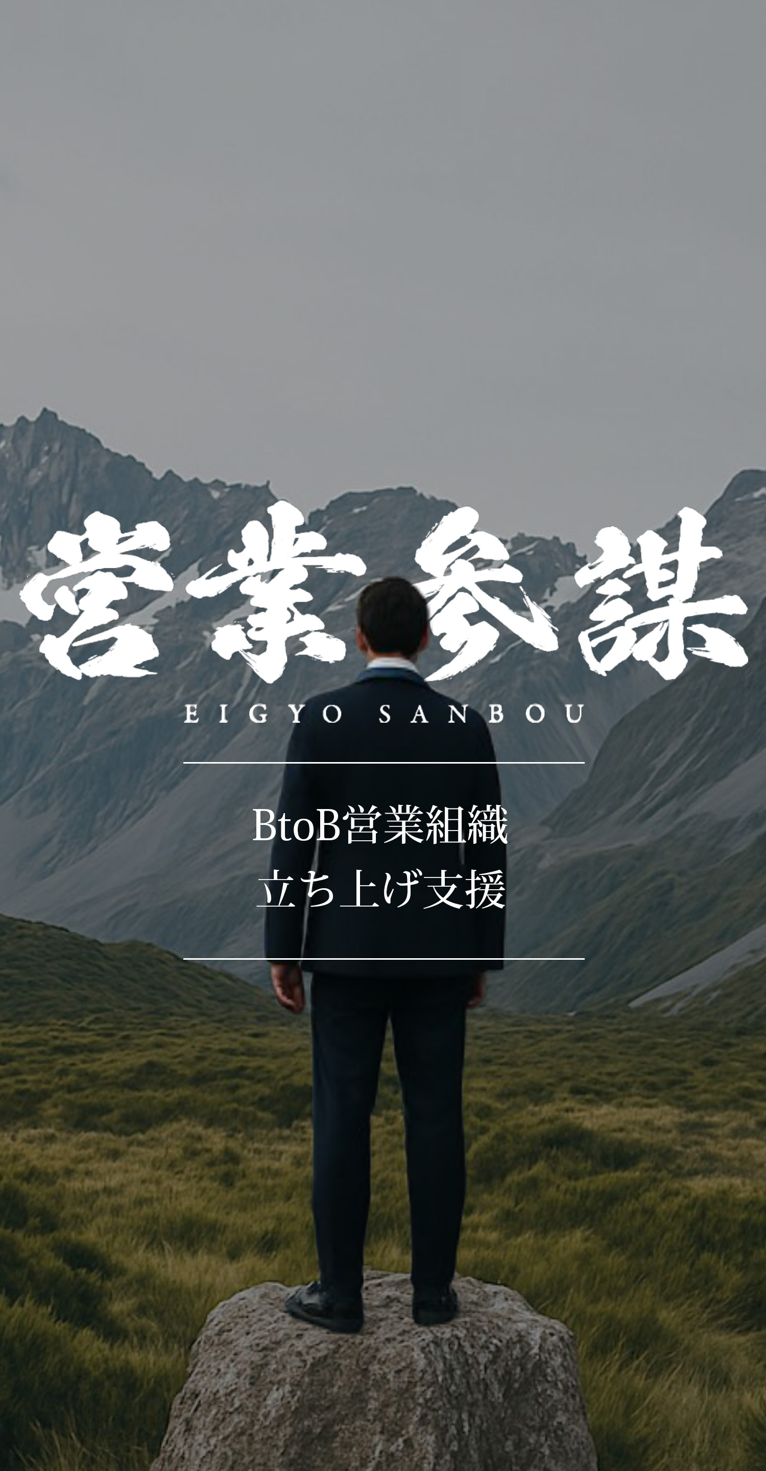 BtoB営業組織立ち上げ支援 営業参謀 オーダーメイド戦略立案から実行まで事業立ち上げに貢献します